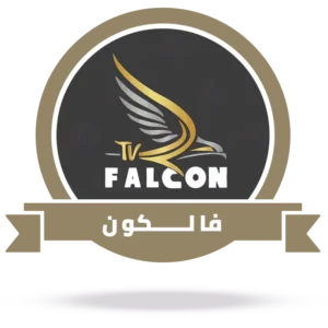 اشتراك سيرفر فالكون falcon